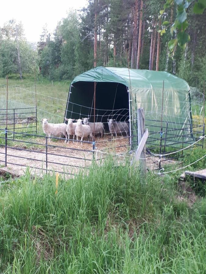 Skabram Bed & Breakfast Jokkmokk Εξωτερικό φωτογραφία